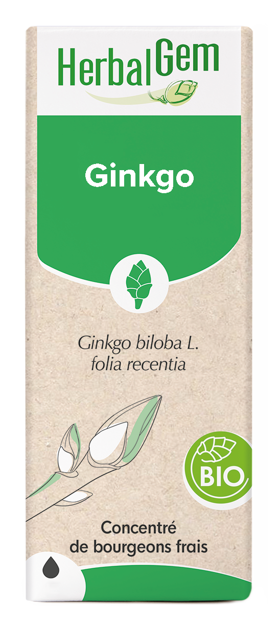 Ginkgo