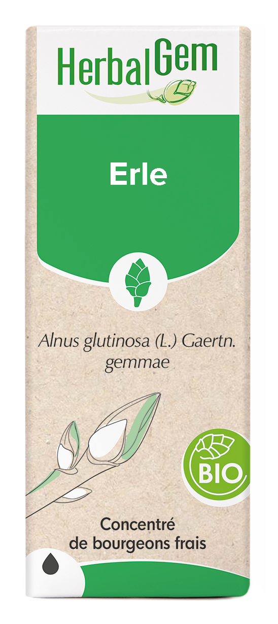Erle