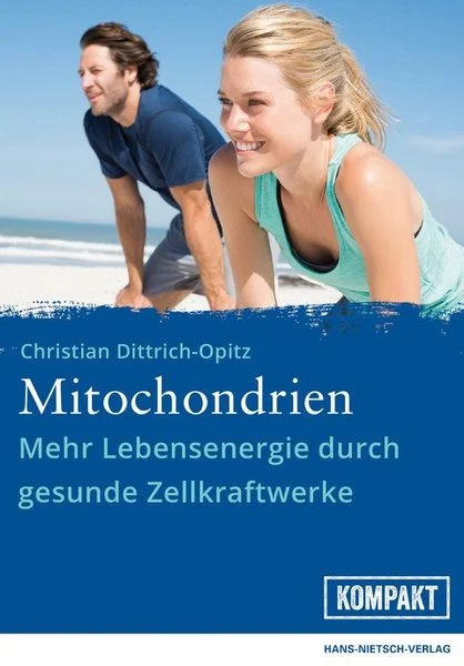 Mitochondrien kompakt