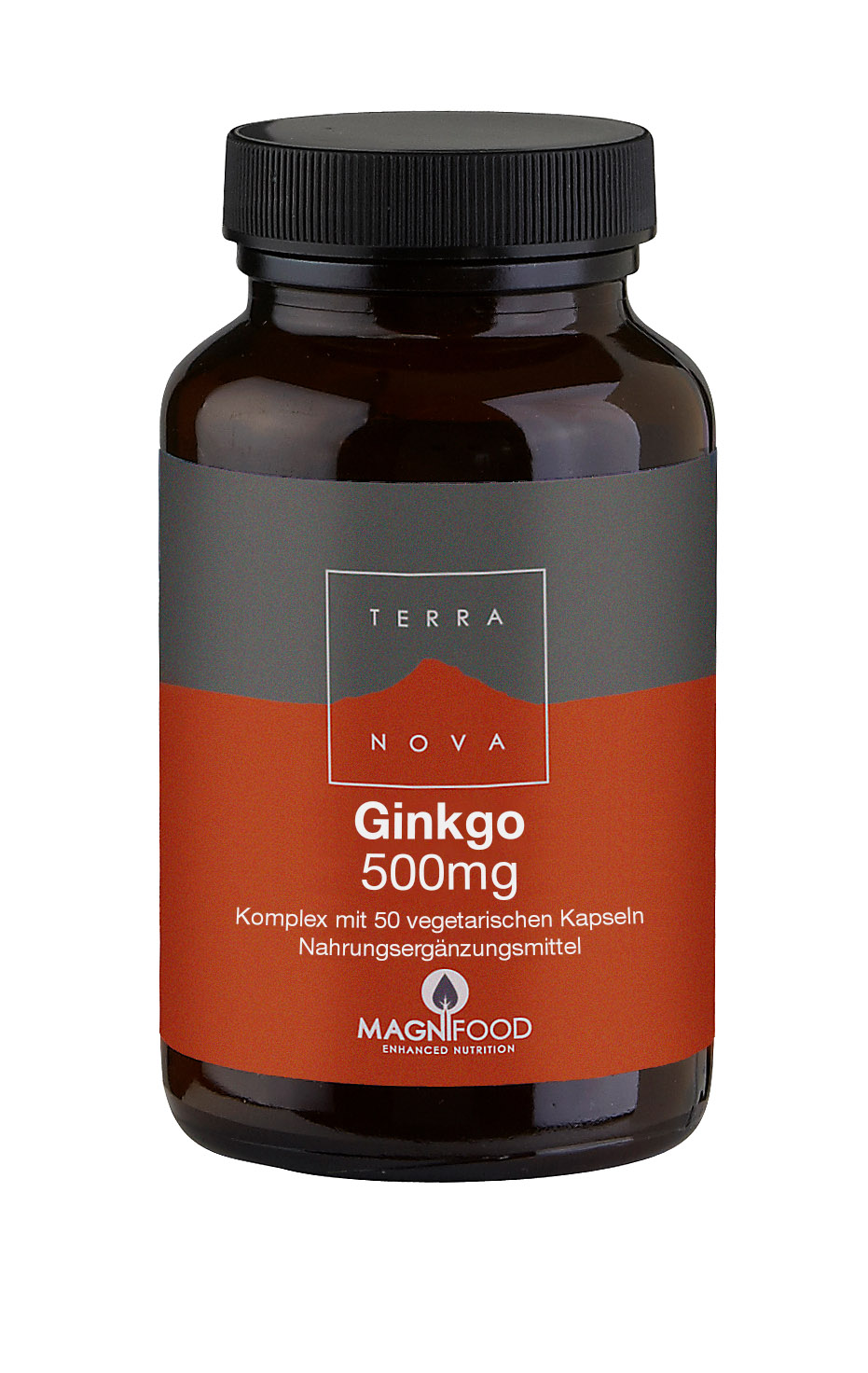 Ginkgo