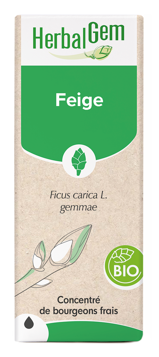 Feigenbaum
