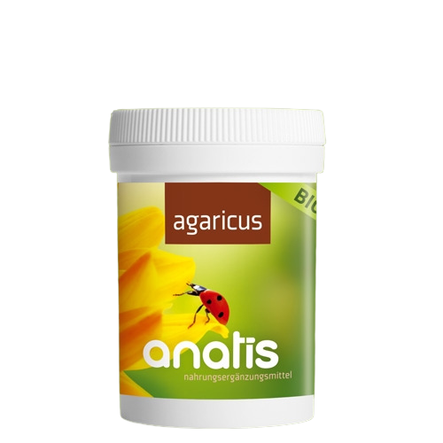 Agaricus Pilz