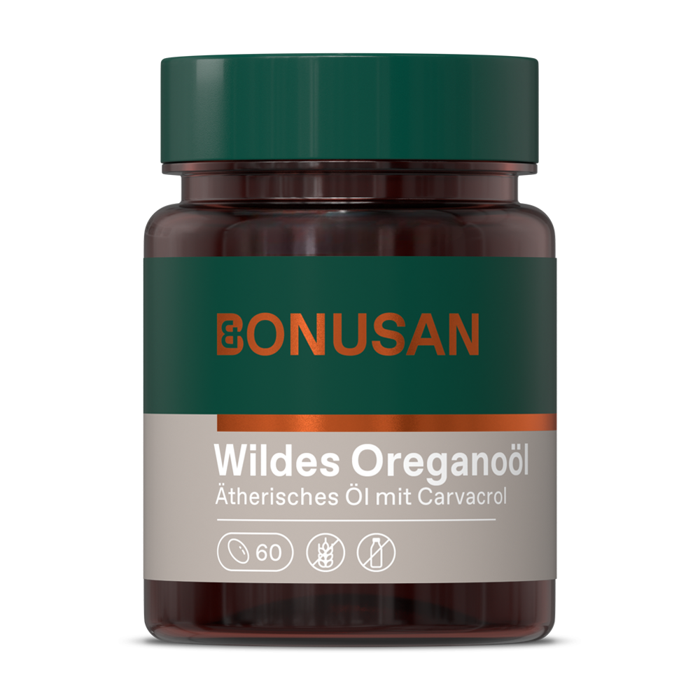 Wildes Oregano